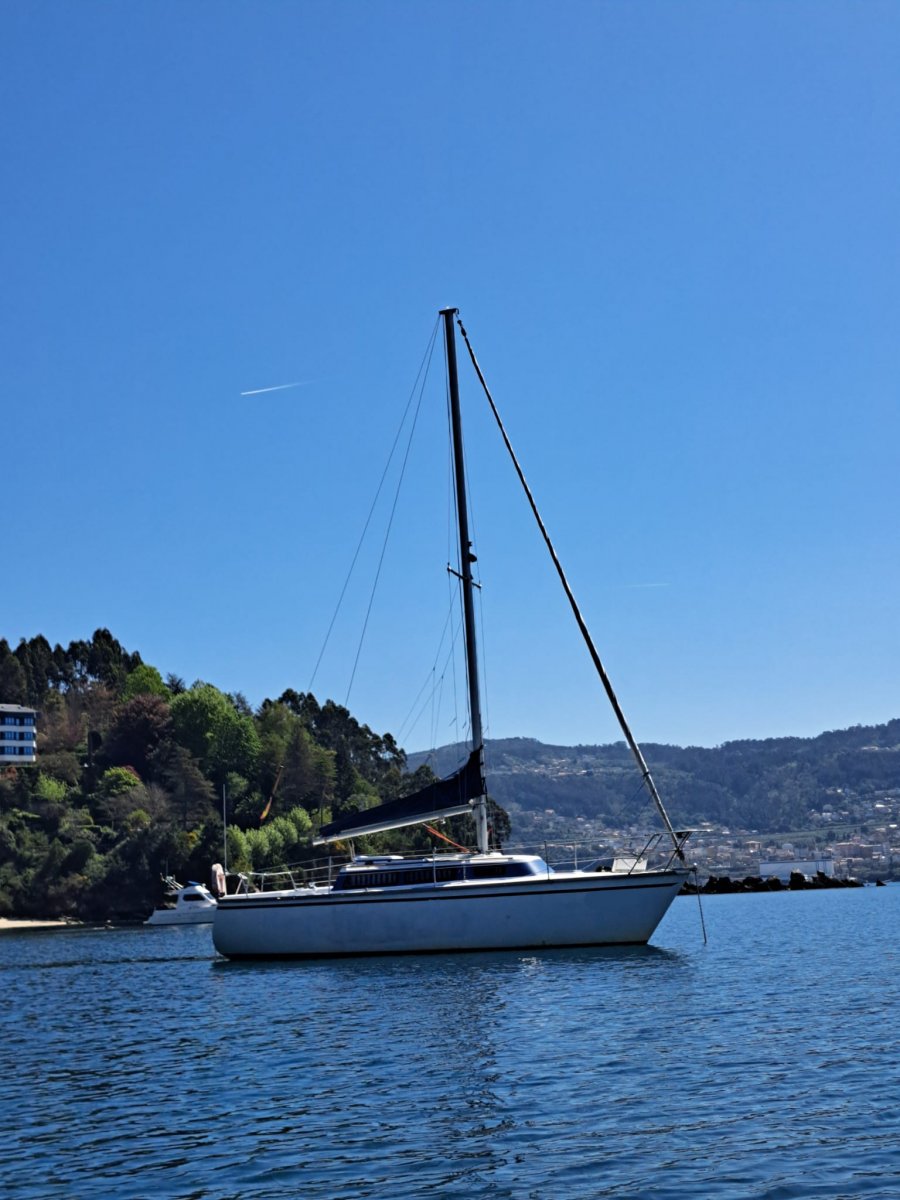 Navega por las aguas de la Ría de Vigo