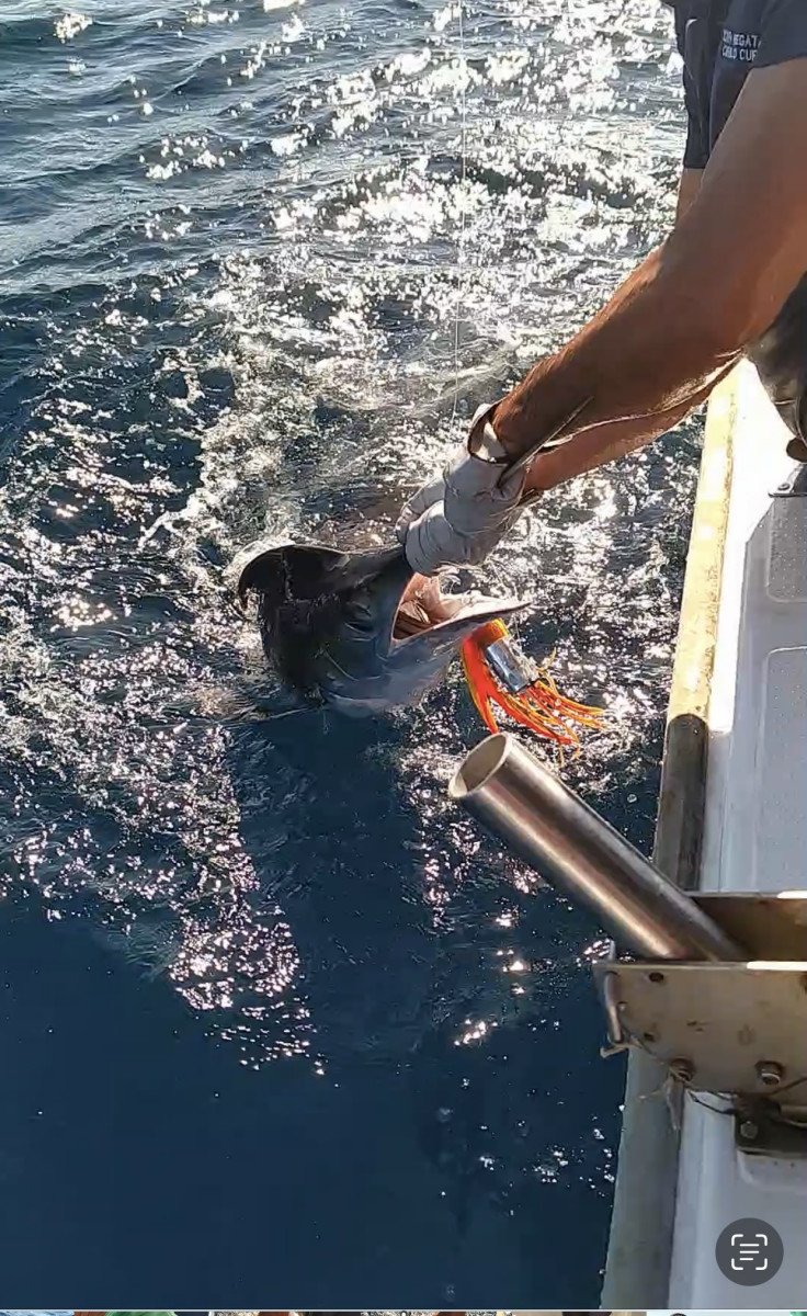 Pesca in alto mare a Cadice