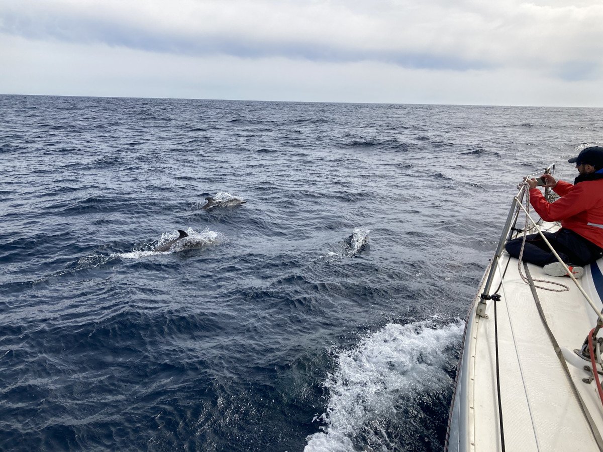 Segele 300 Meilen in 8 Tagen im Mittelmeer.