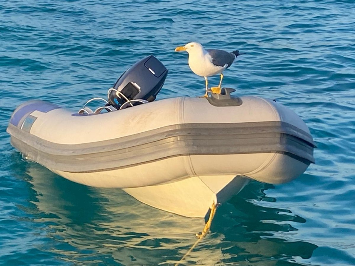 Katamaran-Abenteuer in San Blas, Guna Yala, Panama