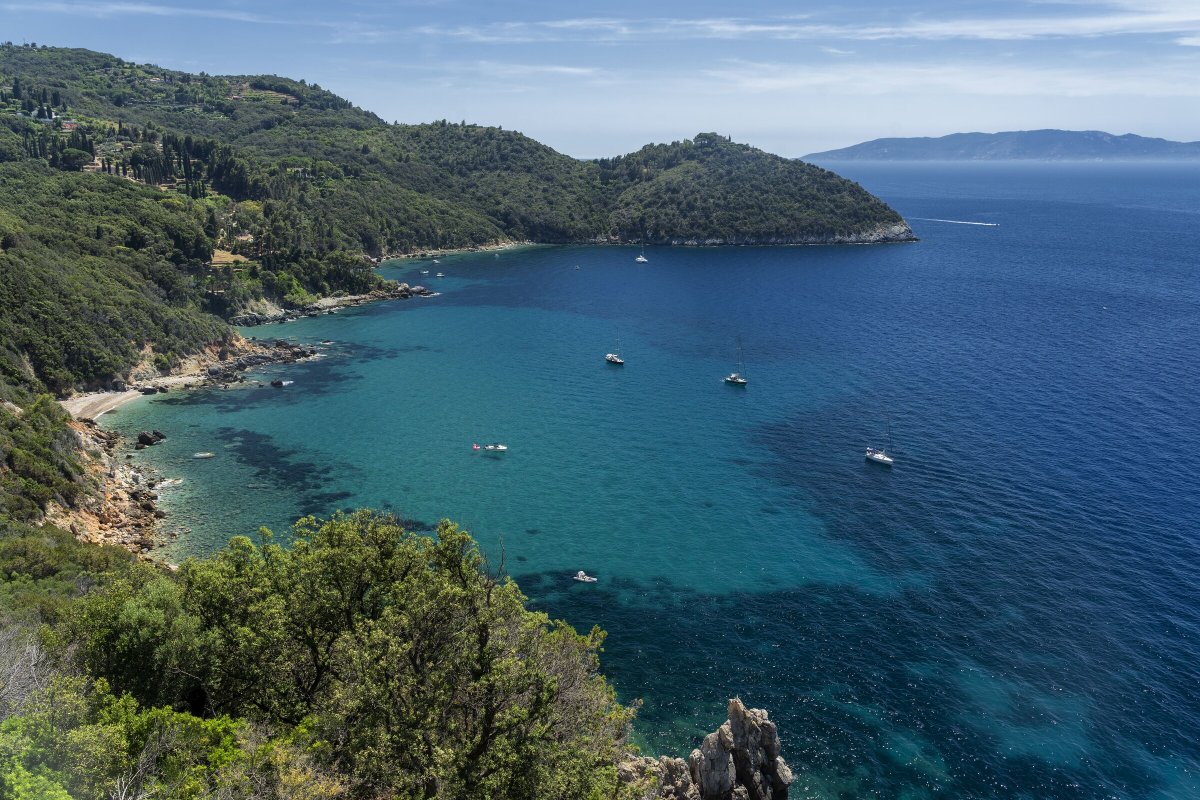 Goditi le viste della Toscana da un catamarano