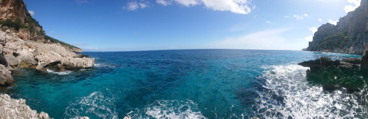 61a5190660d0d9.74069675