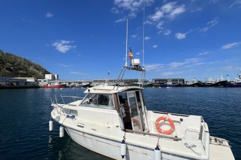 Prácticas de Motor PNB en San Sebastián