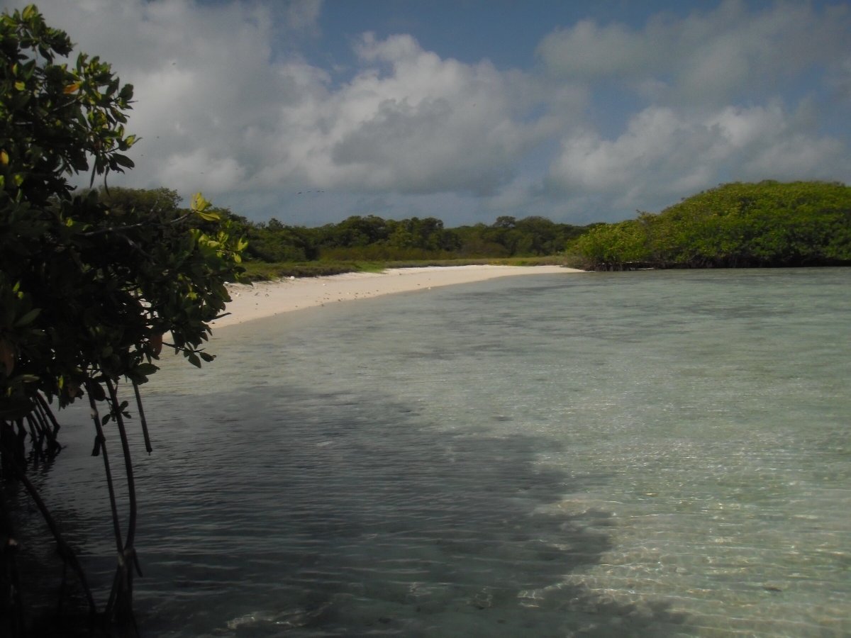 Luxuriöse Reise durch den Nordatlantik in einer Einzelkabine