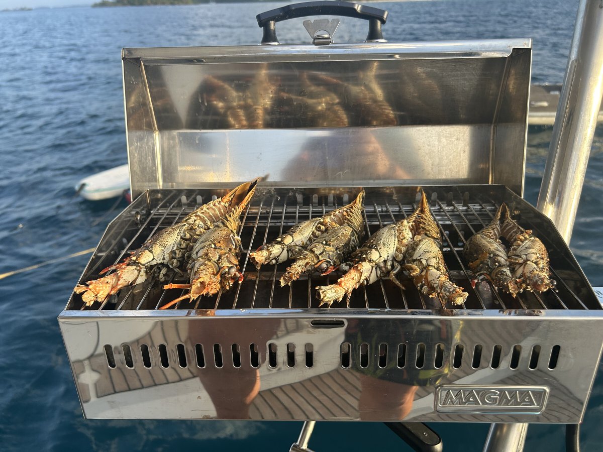 Navega por el océano Atlántico en una flotilla de catamaranes