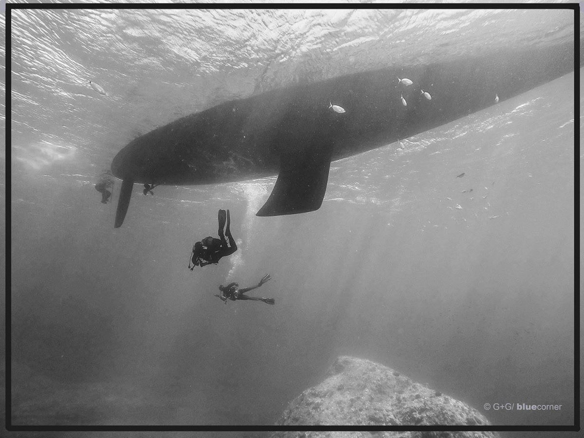 Segel- und Tauchkreuzfahrt in Ibiza und Formentera 4 Nächte