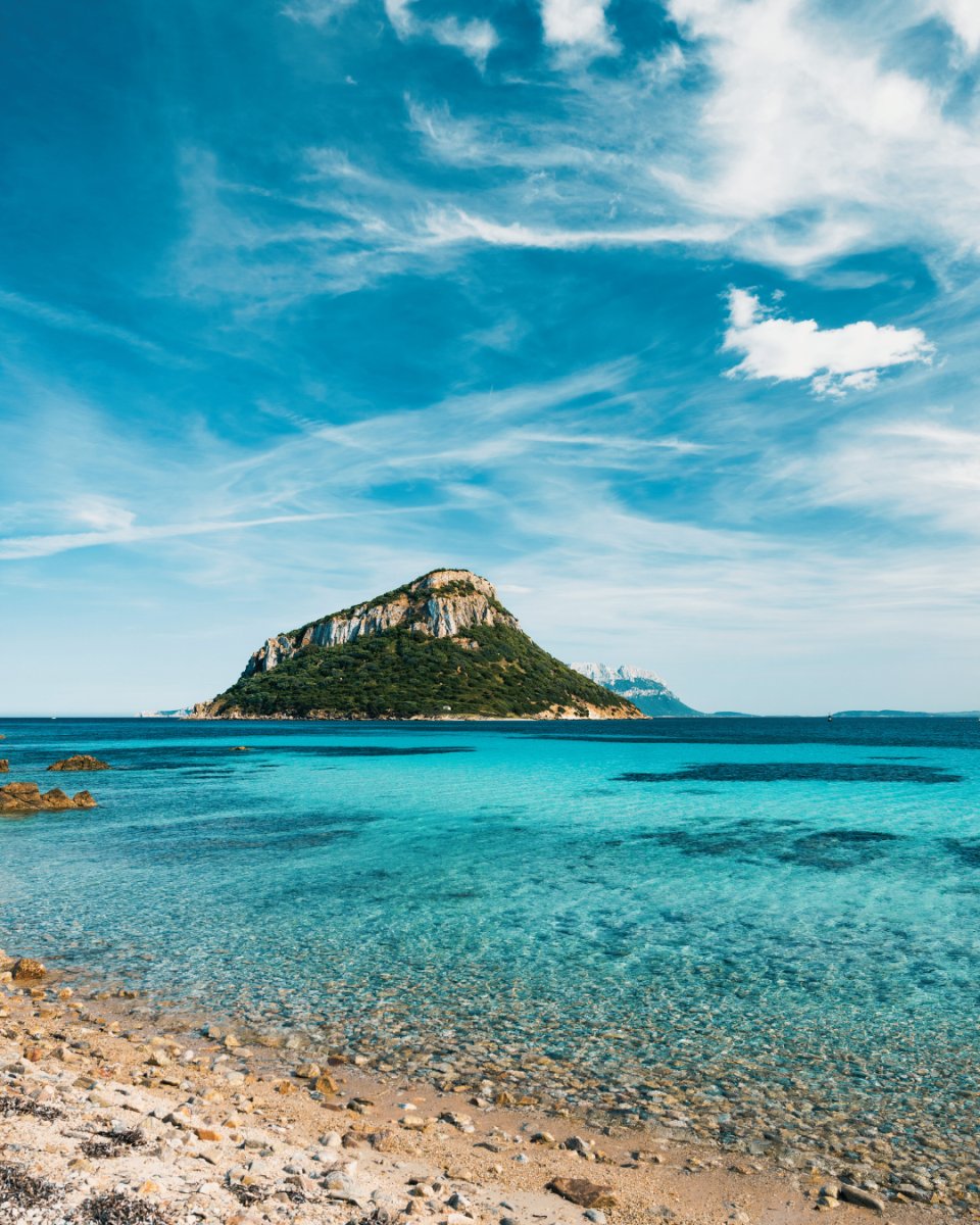 Open sea adventure with navigation courses