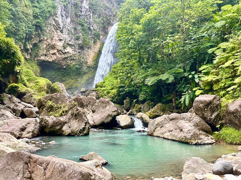 Kreuzfahrt in der Karibik: von Martinique nach Saint Martin