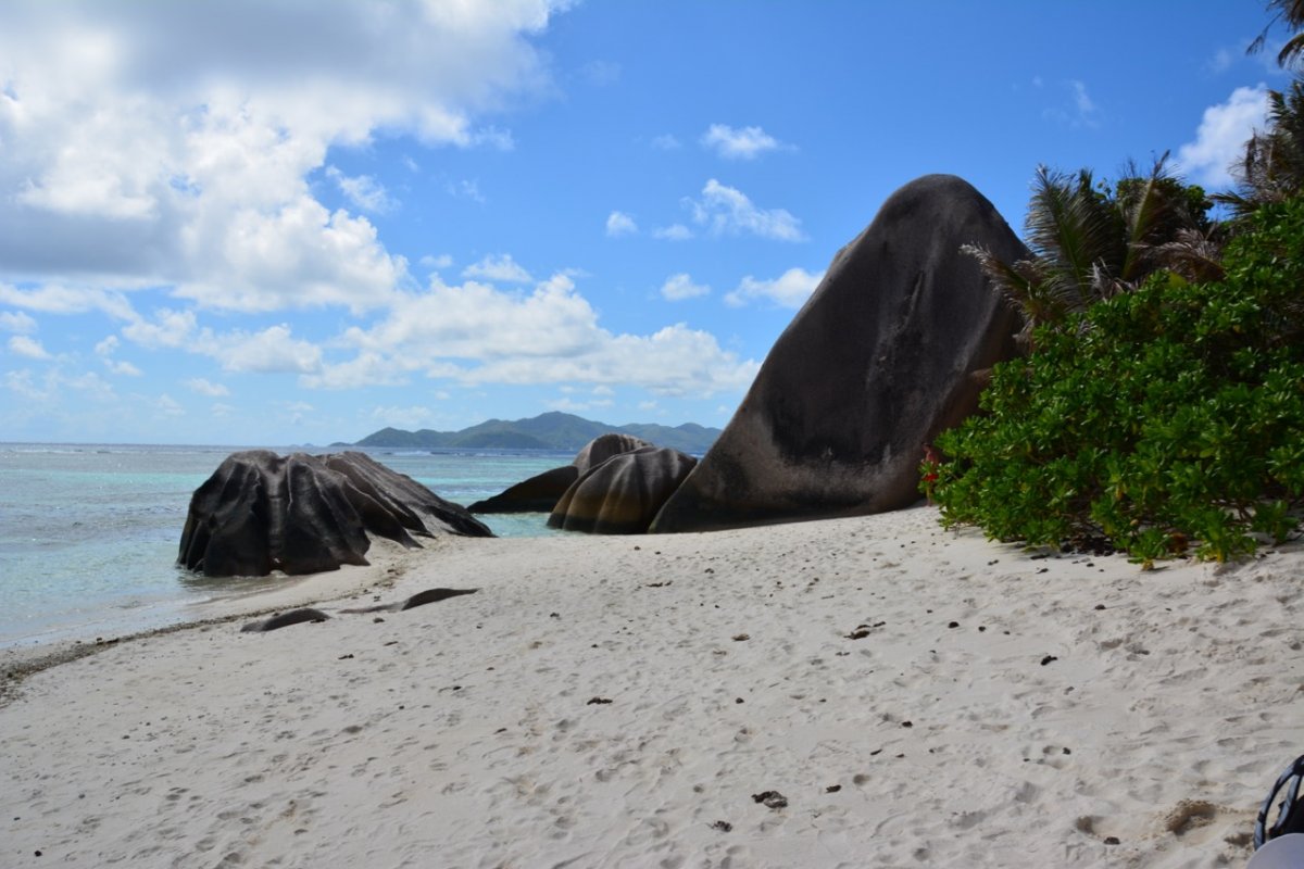 Treffen Sie die Meereslebewesen - Schwimmen Sie mit den Delfinen