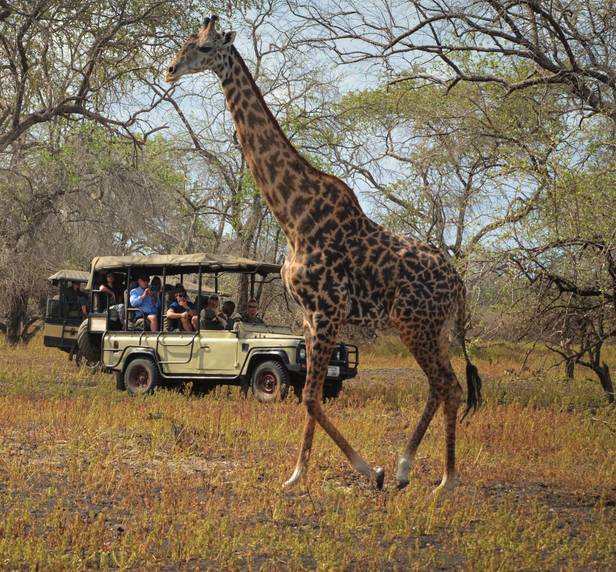 Esplora le acque cristalline di Zanzibar in catamarano