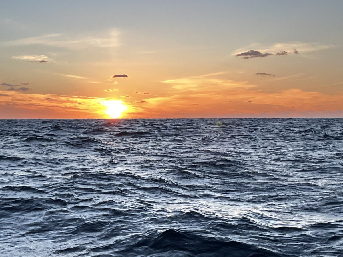 Beginner's sailing course: learn to sail from Hamburg to London