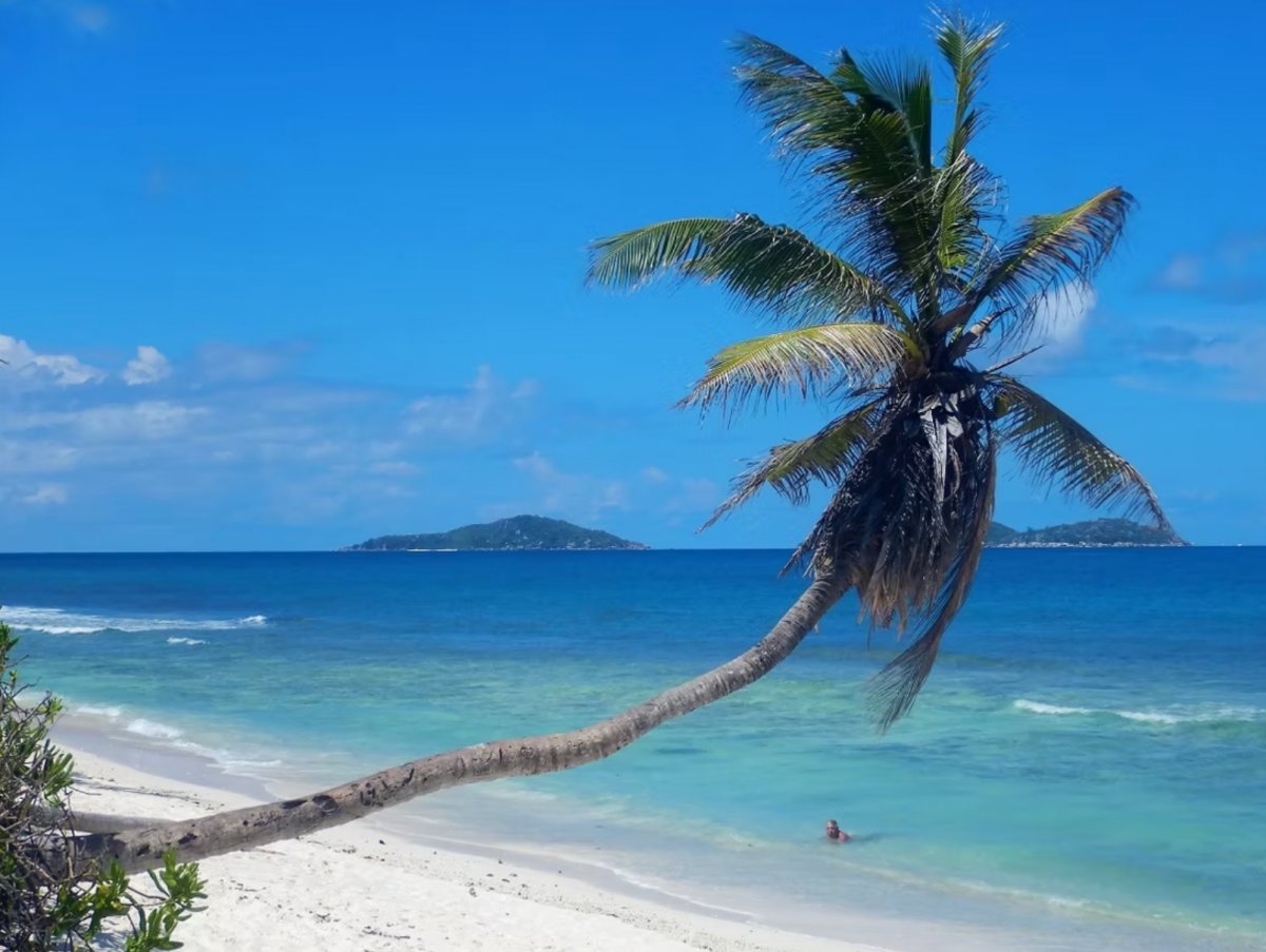 Immersioni alle Seychelles
