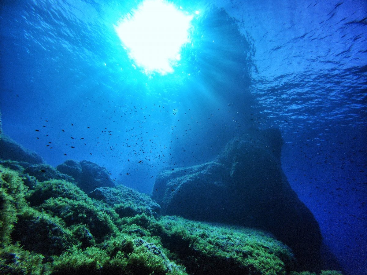 Naviga e fai immersioni a Ibiza e Formentera per una settimana