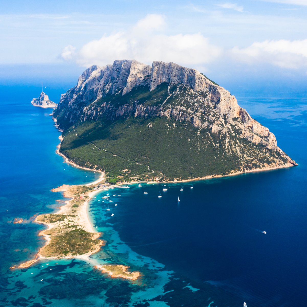 Catmaran tour to Tavolara with lunch, snorkeling and hidden coves in Olbia