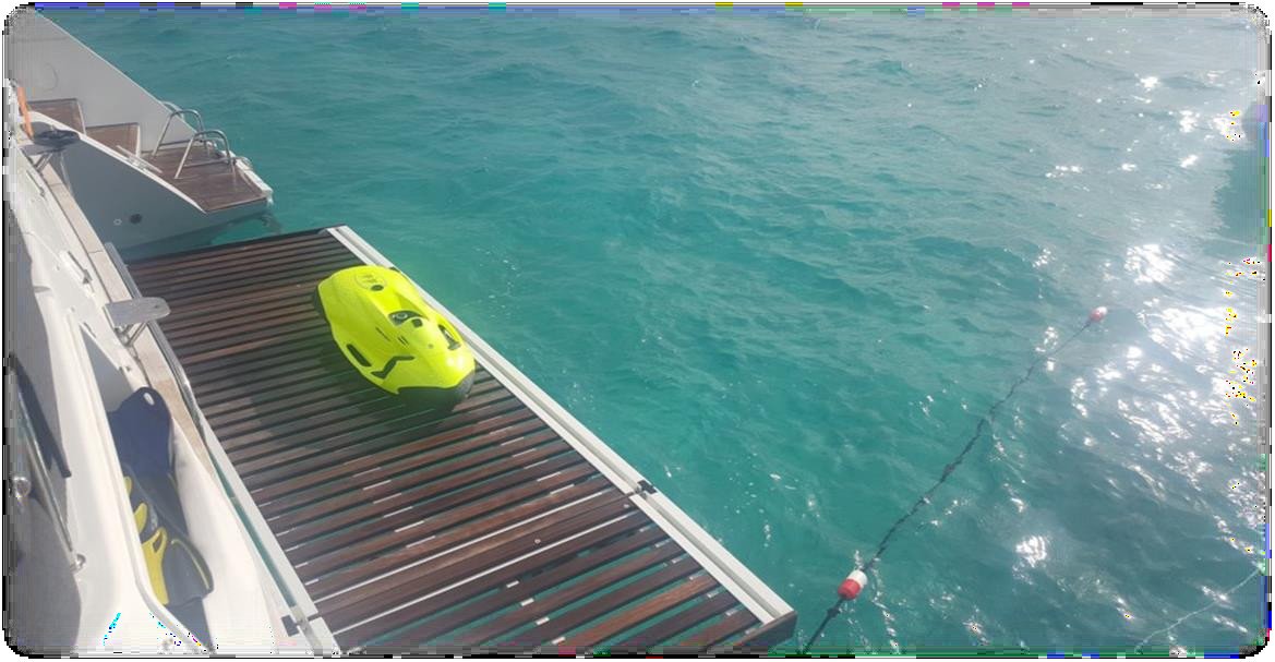 Vacanze in catamarano a Tenerife