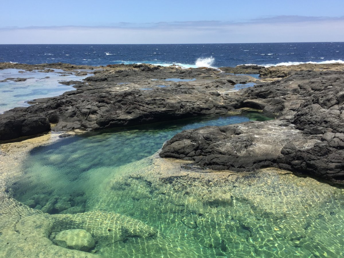 Sailing Courses in the Canary Islands