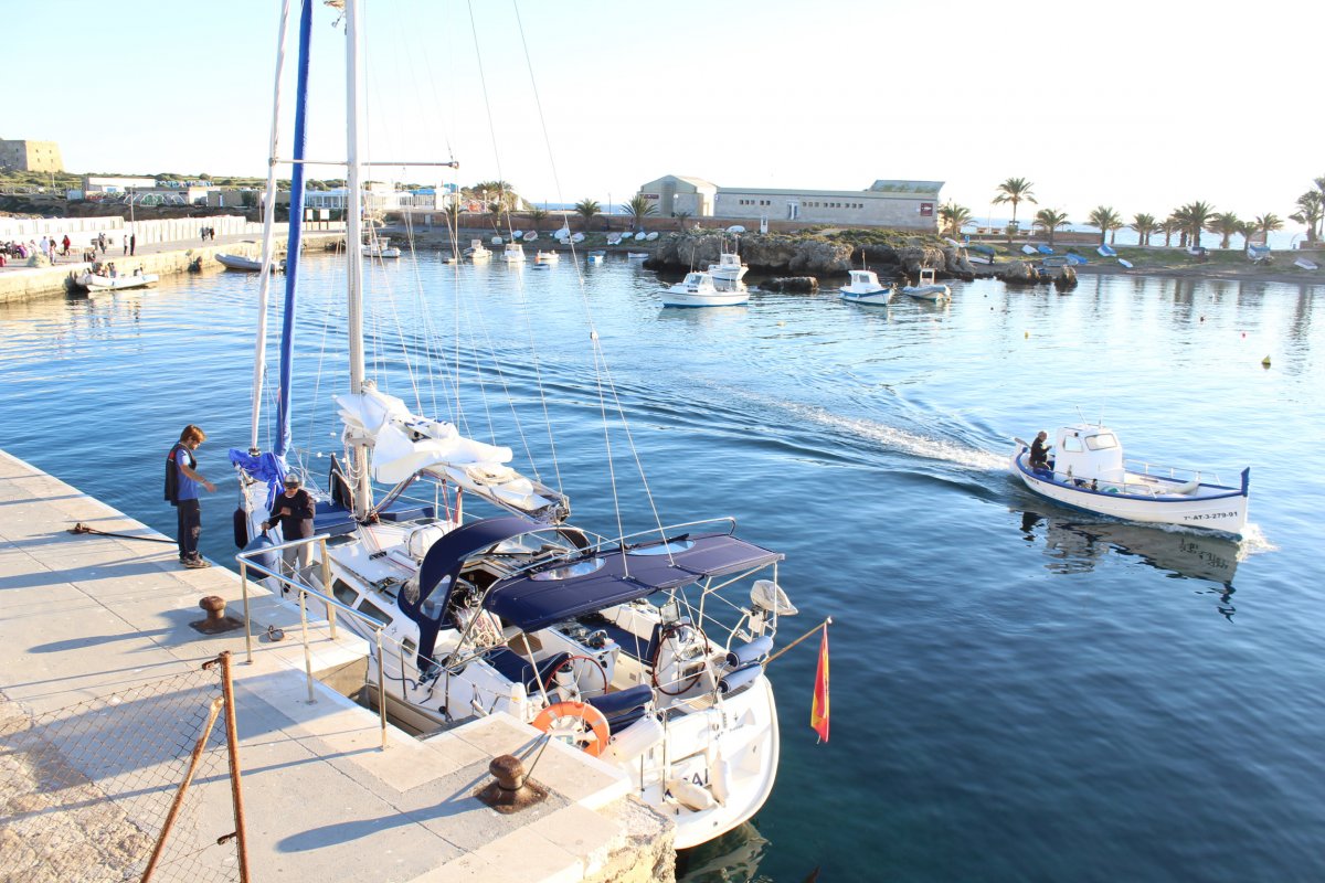 Jeanneau - Sun odysey 40.3