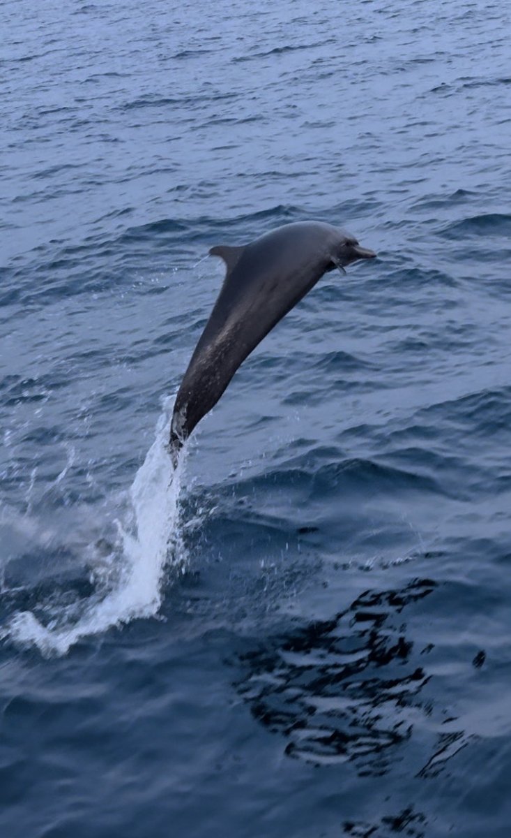 Experiencia de navegación épica