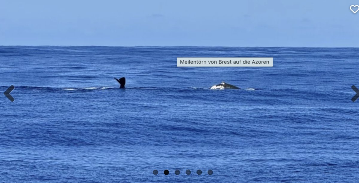 Naviga da Brest verso le affascinanti Azzorre