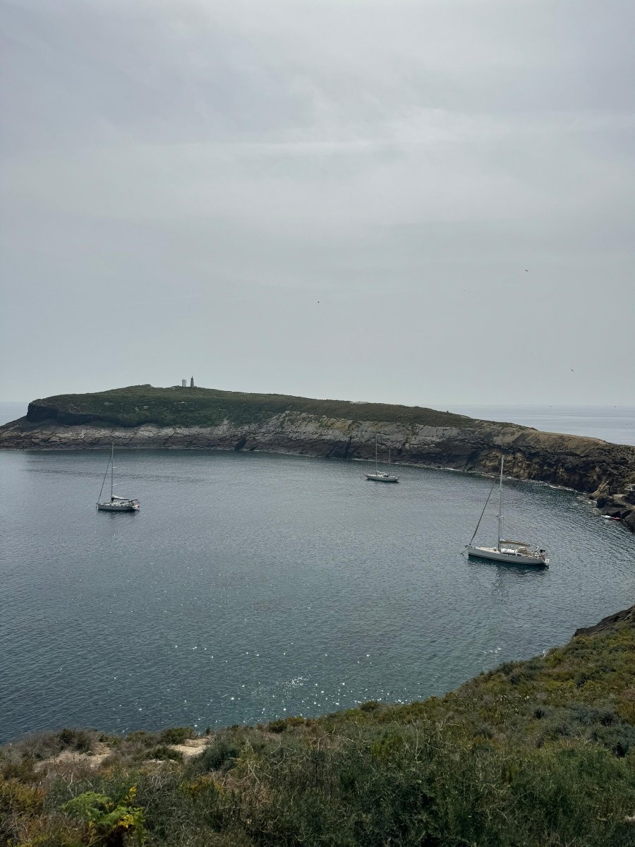 Iscriviti ai nostri corsi di vela a Valencia e impara a navigare