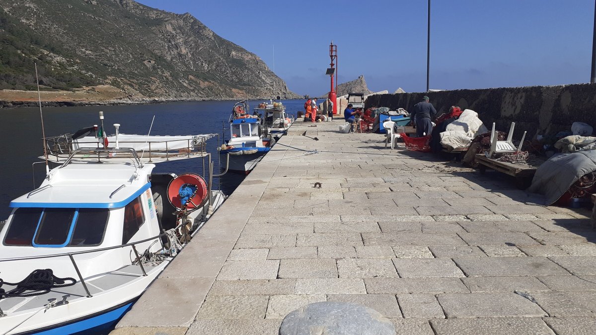 Esplora la Sicilia e le isole Egadi con il nostro catamarano da Trapani