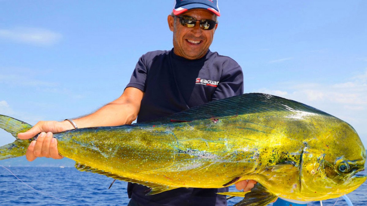 Catamarano - Lagoon - 440