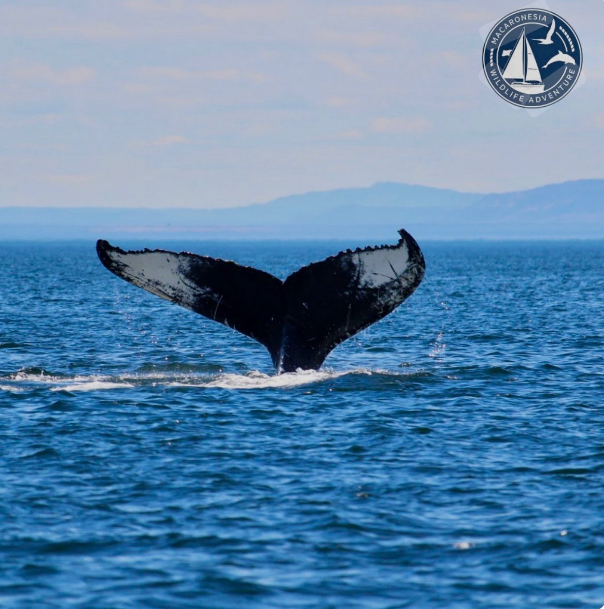 Enjoy the natural beauty on your boat trip.