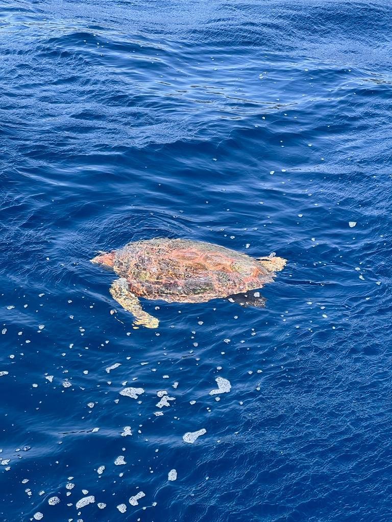 Segelbootreise durch die Inseln des Mittelmeeres