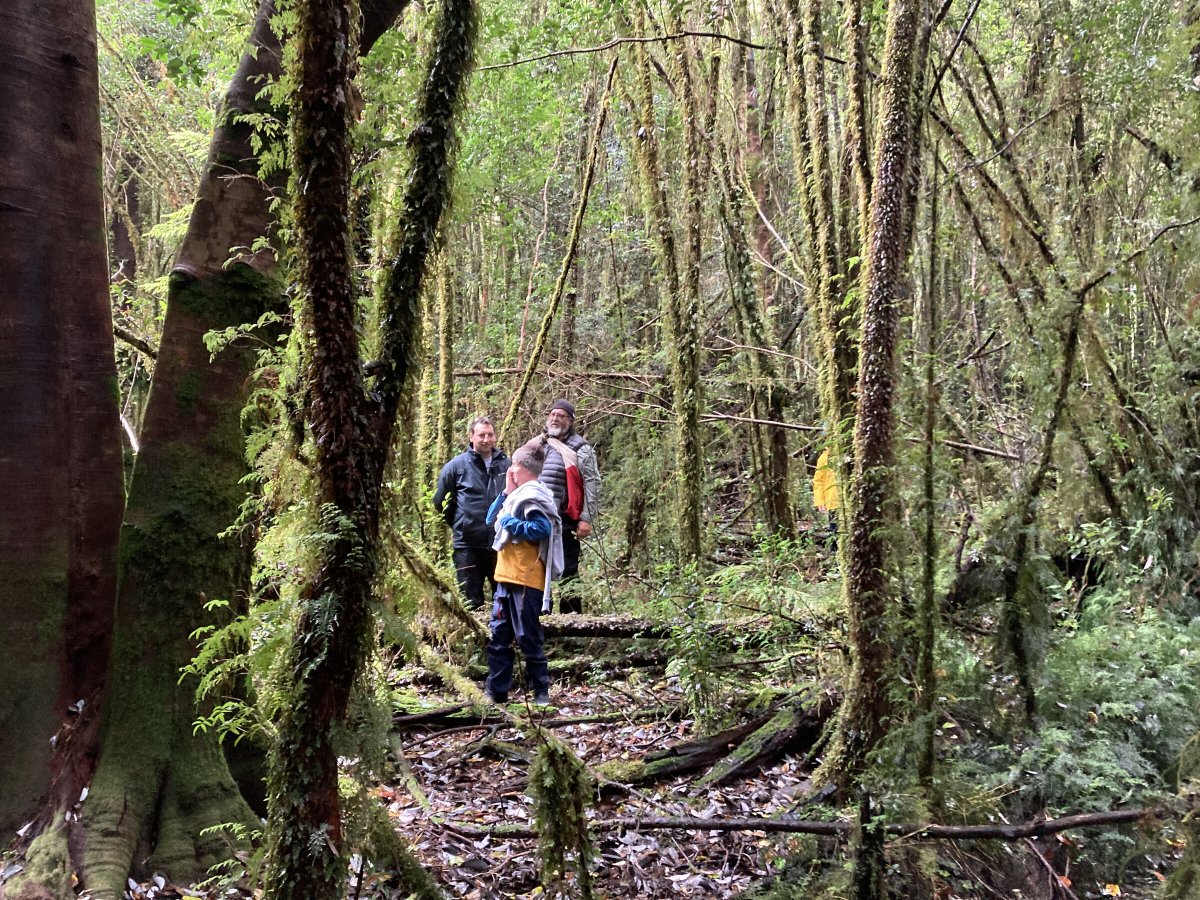 Exploring the Patagonian Fjords