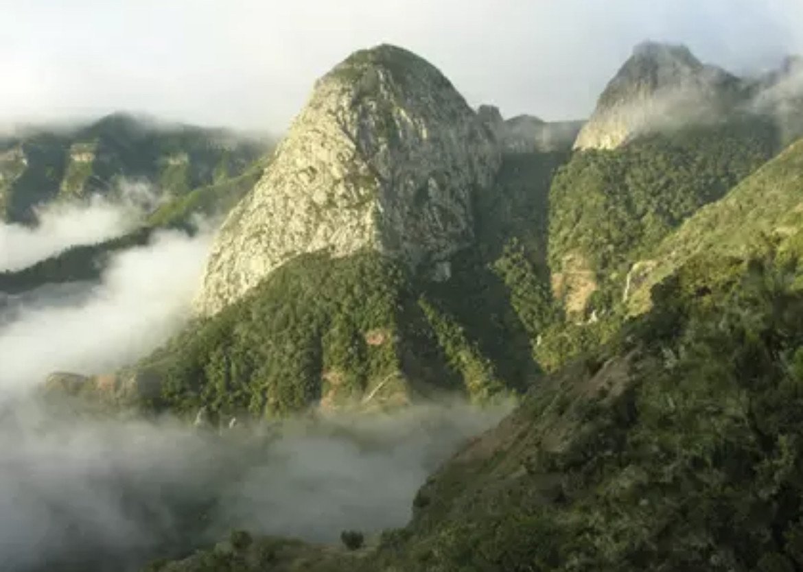 Scoprire i segreti delle Isole Canarie in un'avventura in goletta