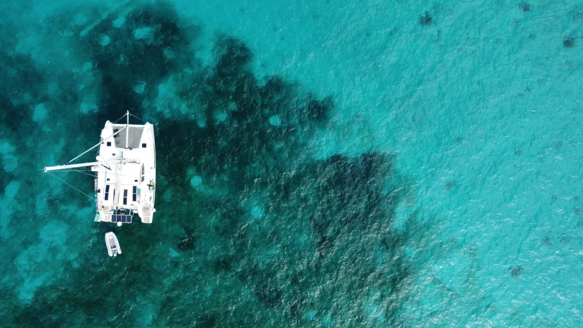 Esplora le acque dei Caraibi