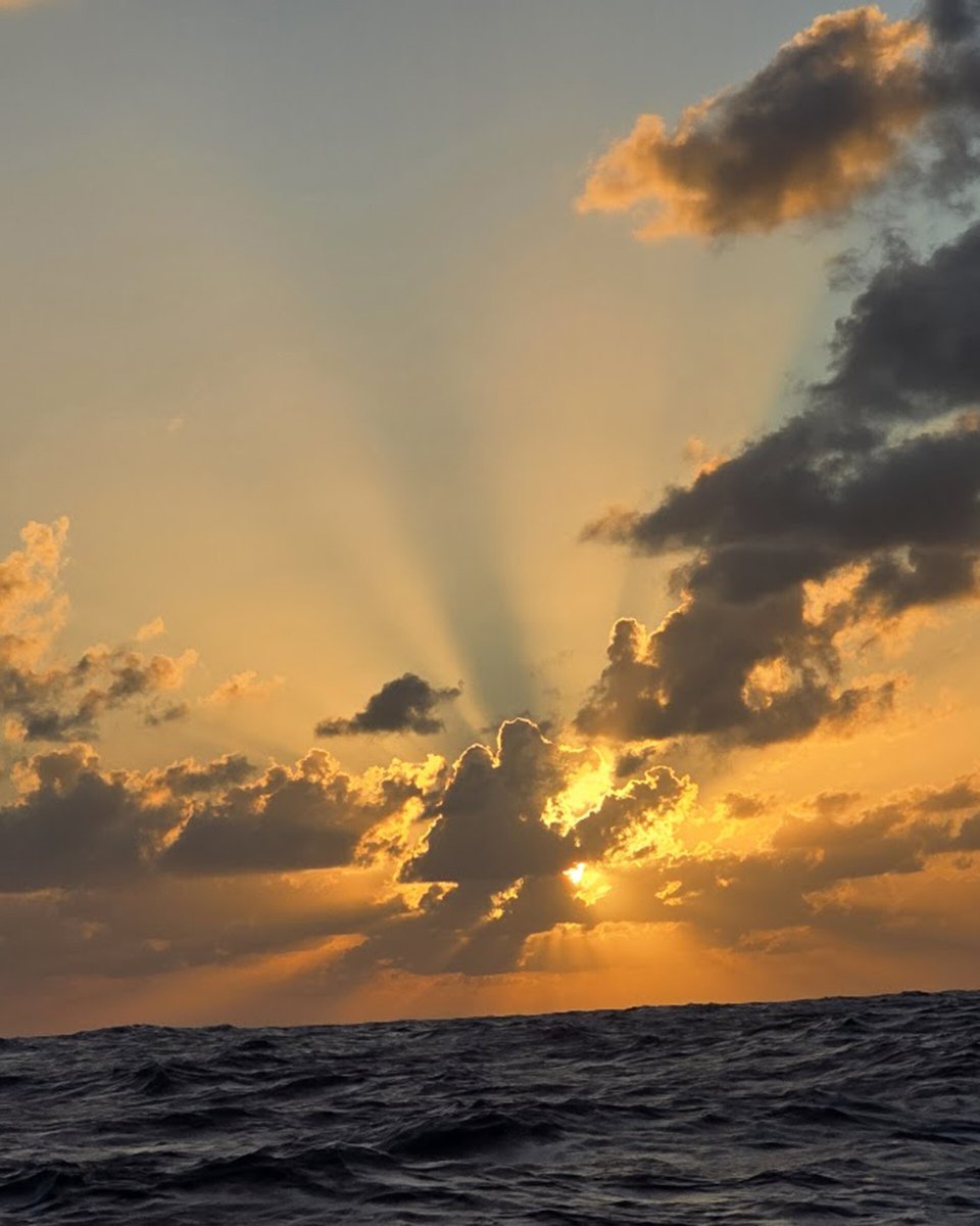 Segelschiffe und Katamarane auf der Mittelmeer-Überquerung