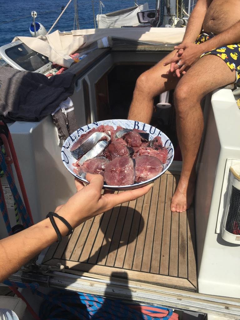 Excursión en velero por las hermosas islas de Pianosa, Giglio y Giannutri