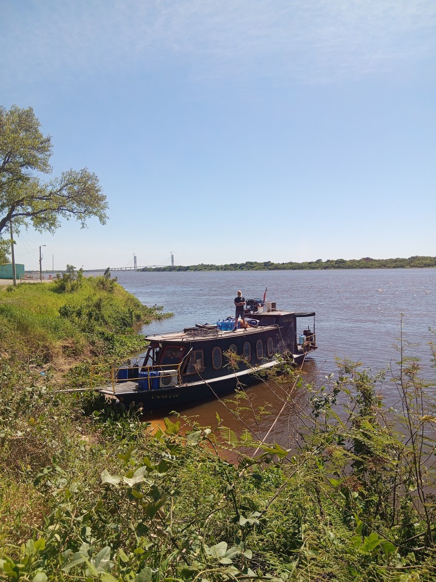 Navigation Journey on the Jungle River