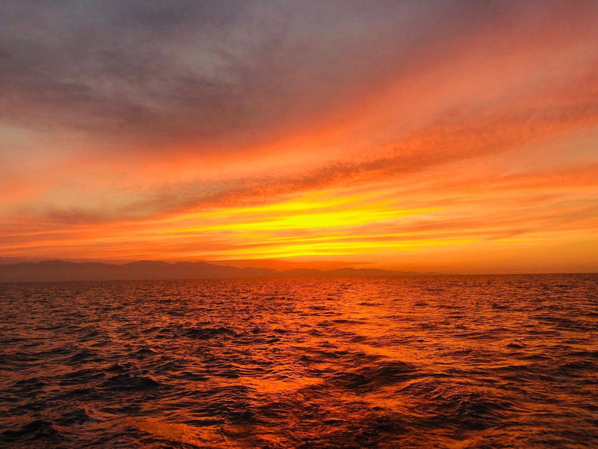 Sailing boat in the Tyrrhenian Sea to the islands of Elba and Giannutri