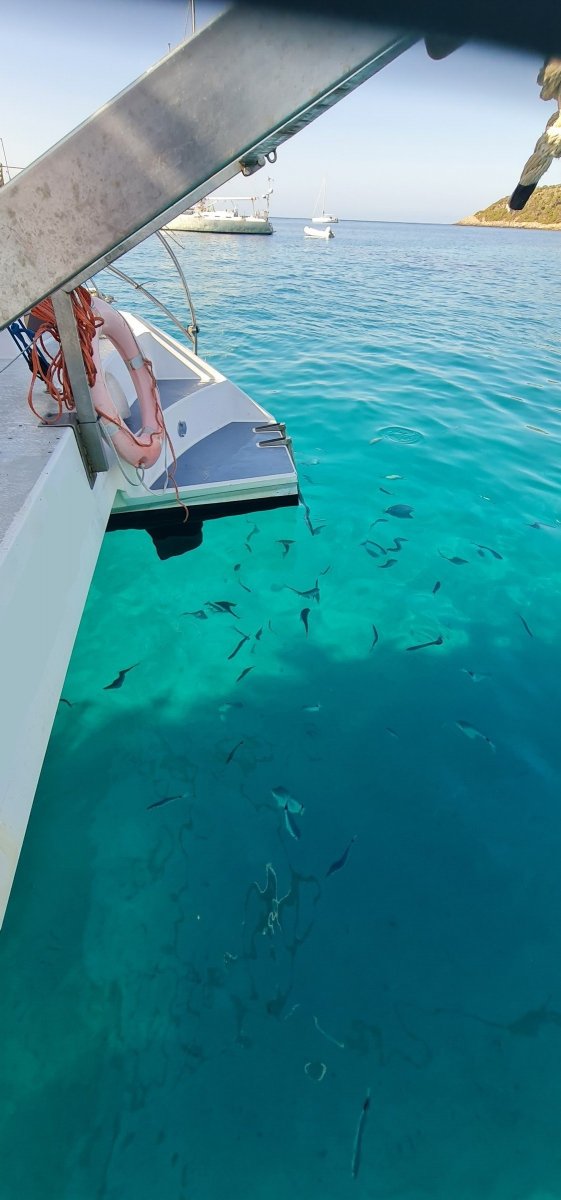 666220a2acd560.62560995