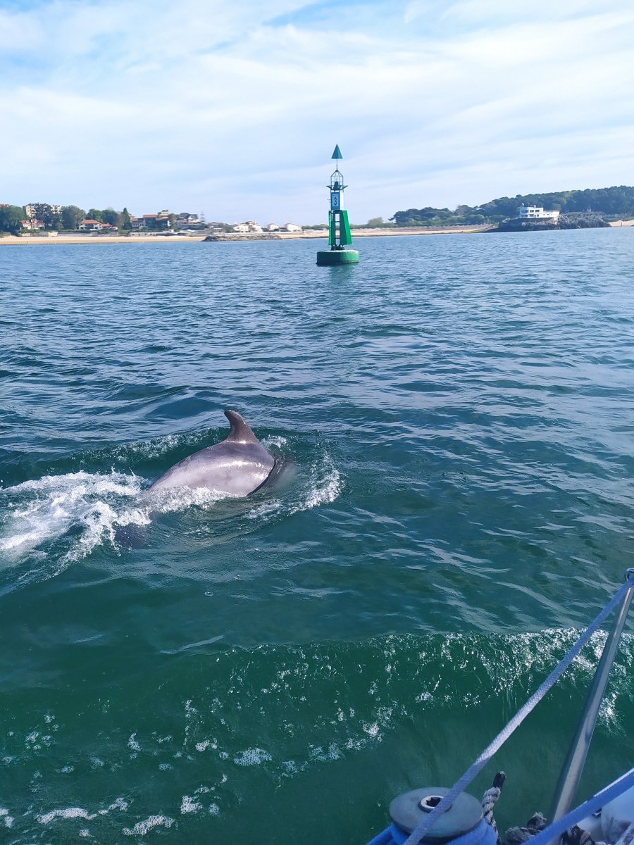 Segelerlebnis in der Bucht von Santander