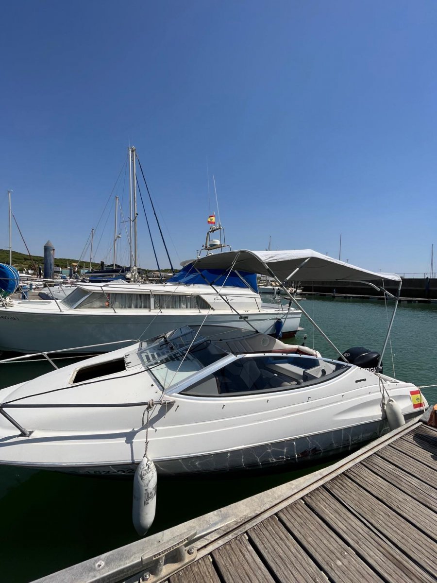 Bayliner - Capri Cuddy