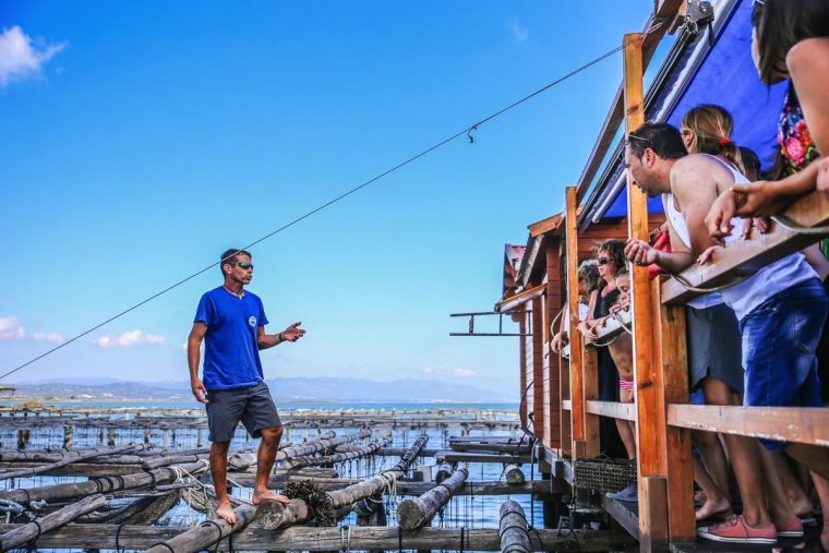 ostras del delta del ebro