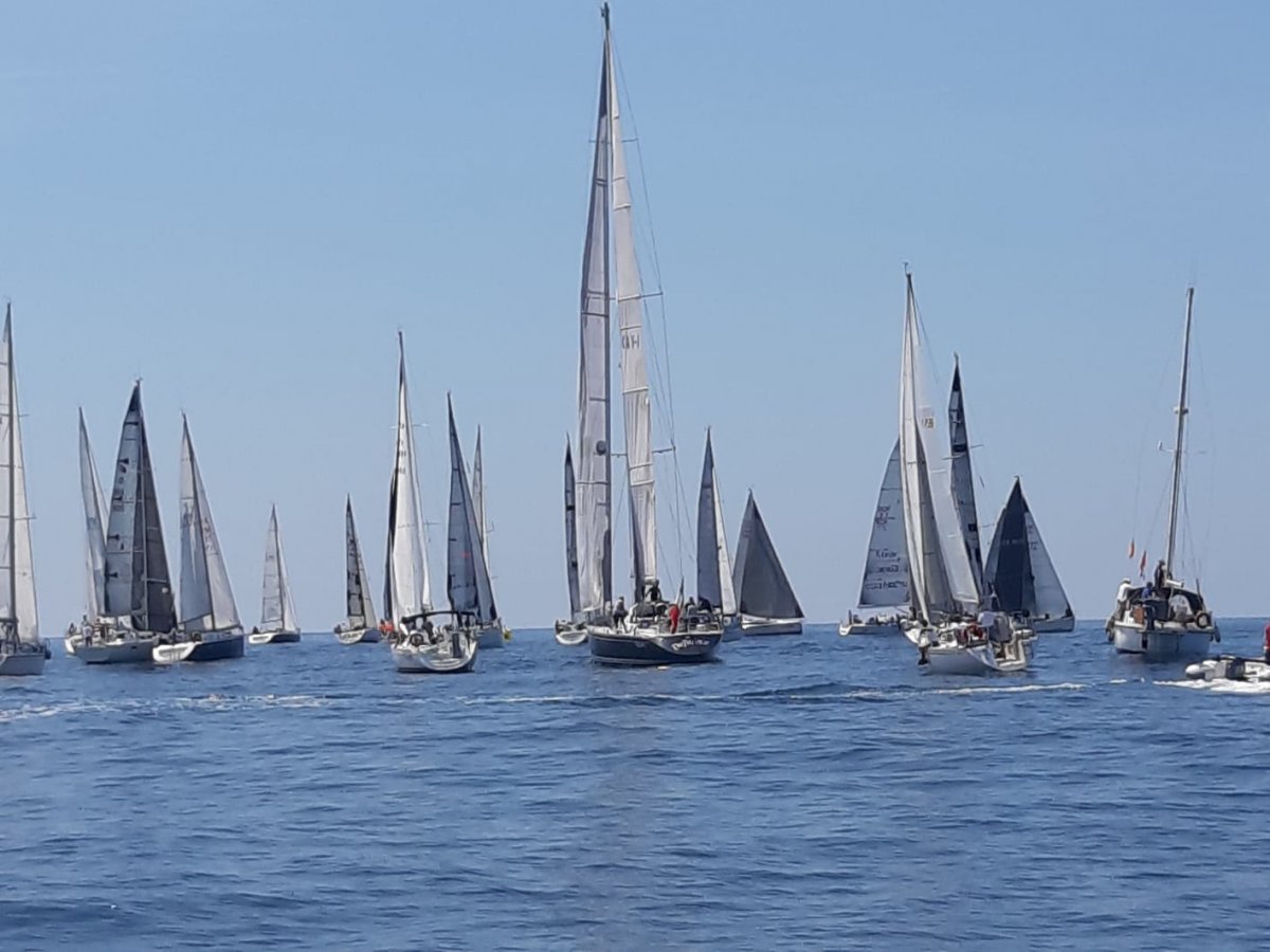 Experience an Adventure at Sea during the Scheria Cup Regatta