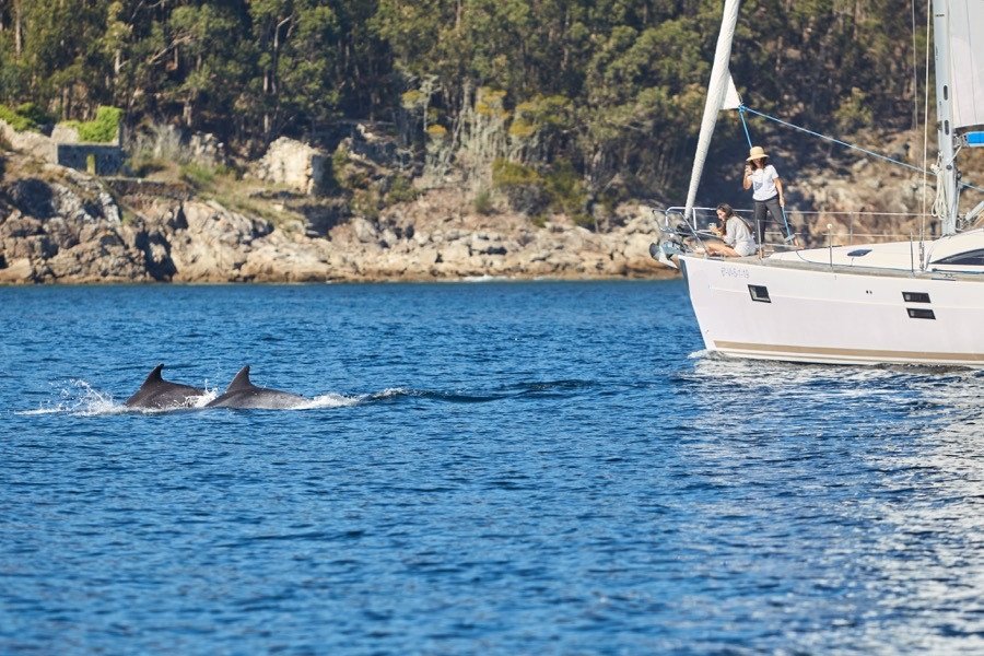 6436b2a0d88671.64275733