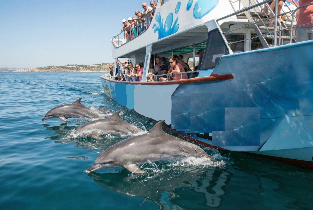img costadelfin 2