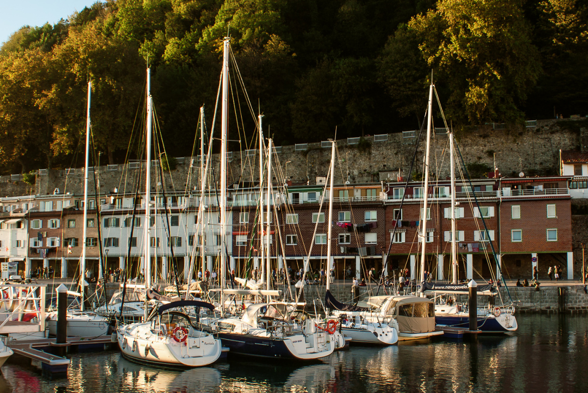 Enjoy a boat ride on the Cantabrian Sea