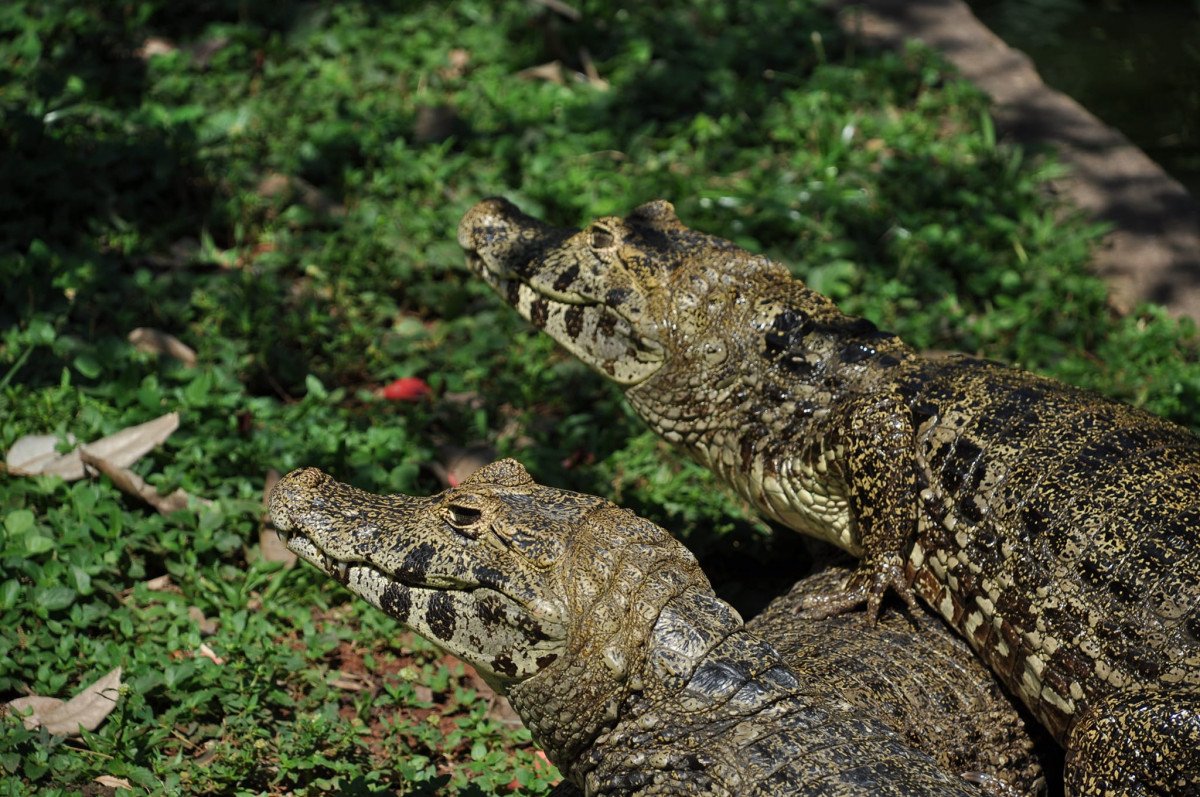 Astilleros Construcciones One Off - 13 metros