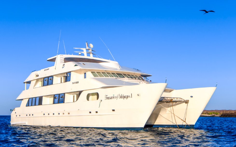 Yate de crucero - Catamarán a motor