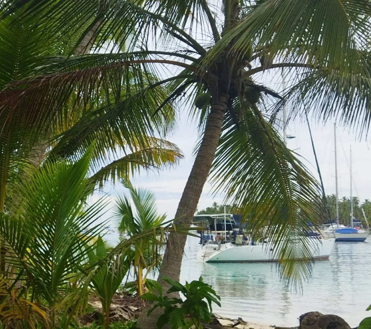 Boat trip to the Galapagos Islands