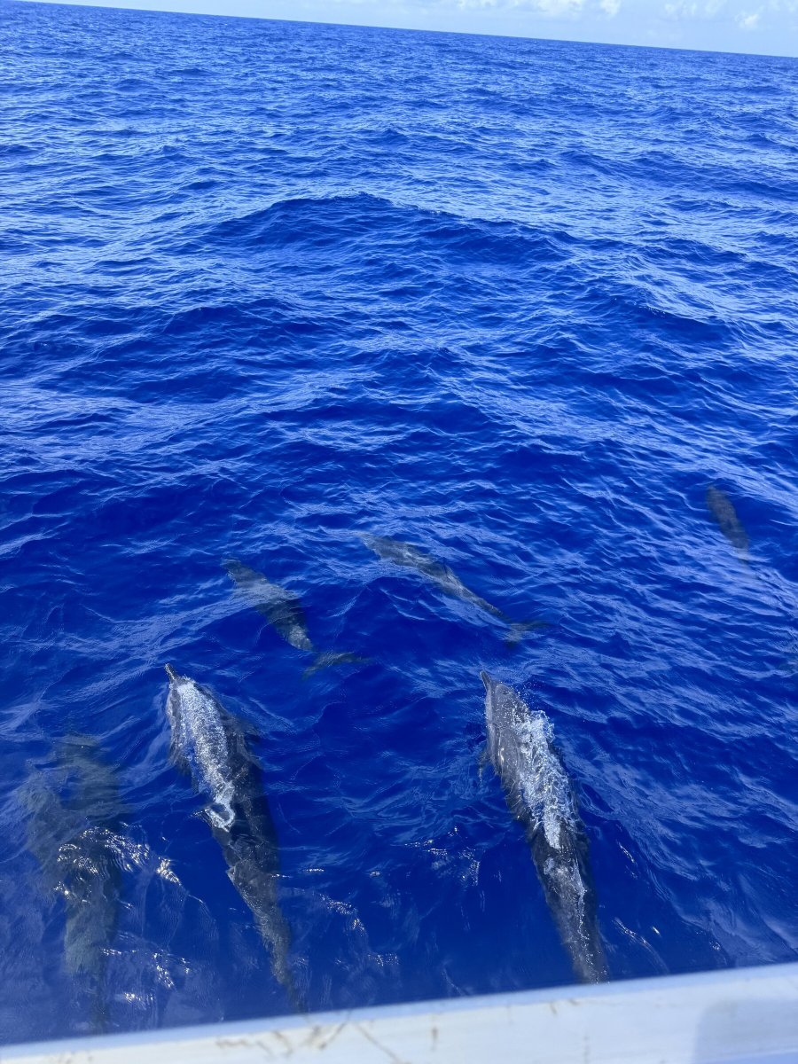 Impara a navigare nell'Atlantico