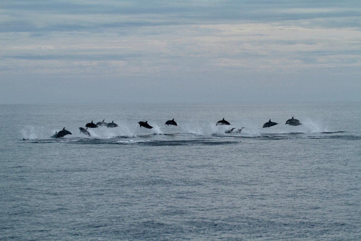 Yacht trip along the coast of Cadiz
