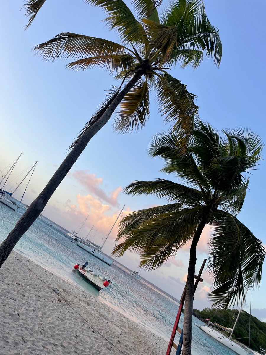 Explore the picturesque villages and culture of Martinique and Grenada