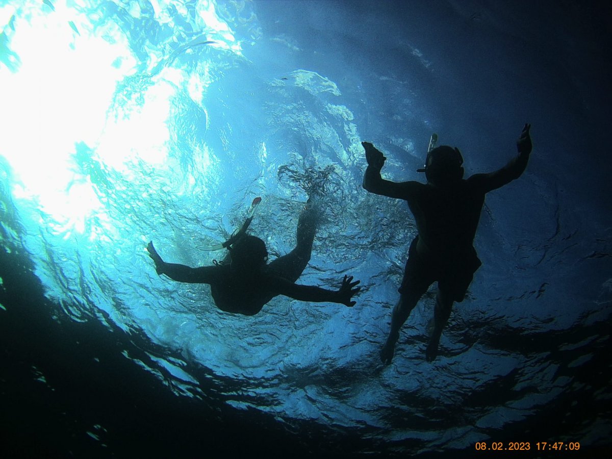 Ischia vista dal mare
